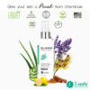 Lauda Botanicals Skincare- Oily Skin Control Mattifying Primer and Moisturizer. No harsh ingredients. Great for acne, blemish and oily skin control